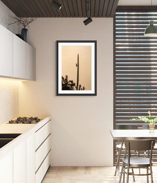 Morning Bird | Mt Warning, NSW Australia | Photography Wall Art