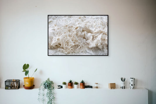 Chaos | Abstract Photography Wall Art