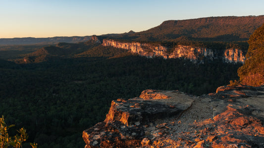 Carnarvon Gorge: An Absolute Must Visit for Photographers