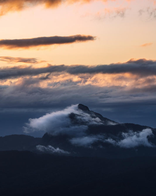 Mount Warning in New South Wales stands out among the rolling fog with a stunning sunrise lighting up the clouds with warm colors in the background.