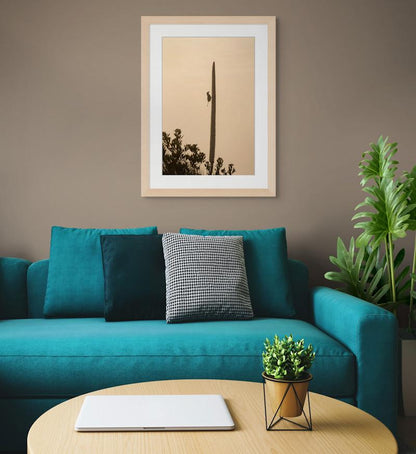 Morning Bird | Mt Warning, NSW Australia | Photography Wall Art